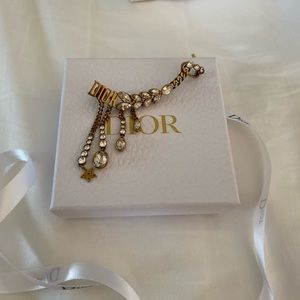 Dior earnings